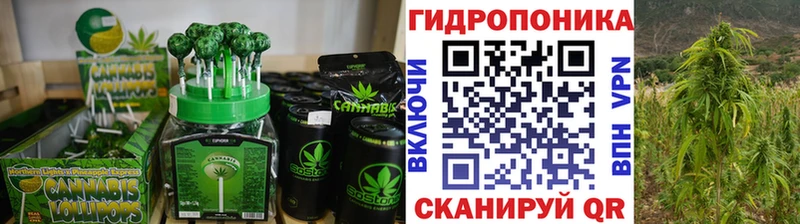 Canna-Cookies конопля  где купить наркотик  blacksprut ссылки  Мурино 