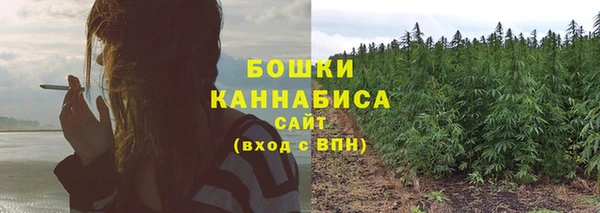сатива Ладушкин