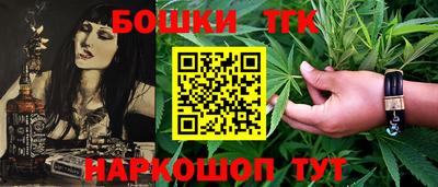 мдпв Камышлов