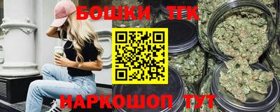 мдпв Камышлов
