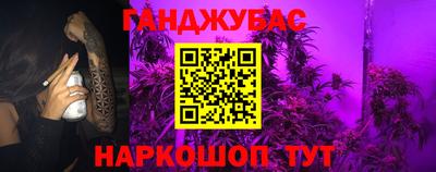 мдпв Камышлов
