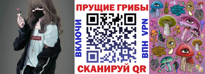 darknet телеграм  Мурино  Галлюциногенные грибы Cubensis  цены наркотик 