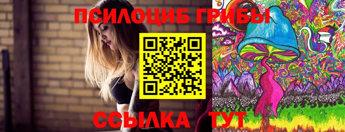 Псилоцибиновые грибы Psilocybe  Вход с VPN  Мурино  Псилоцибиновые грибы ЛСД 