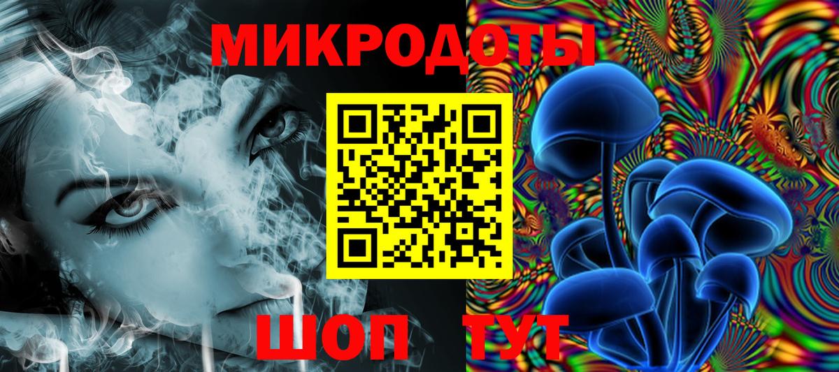 Псилоцибиновые грибы Psilocybe Мурино