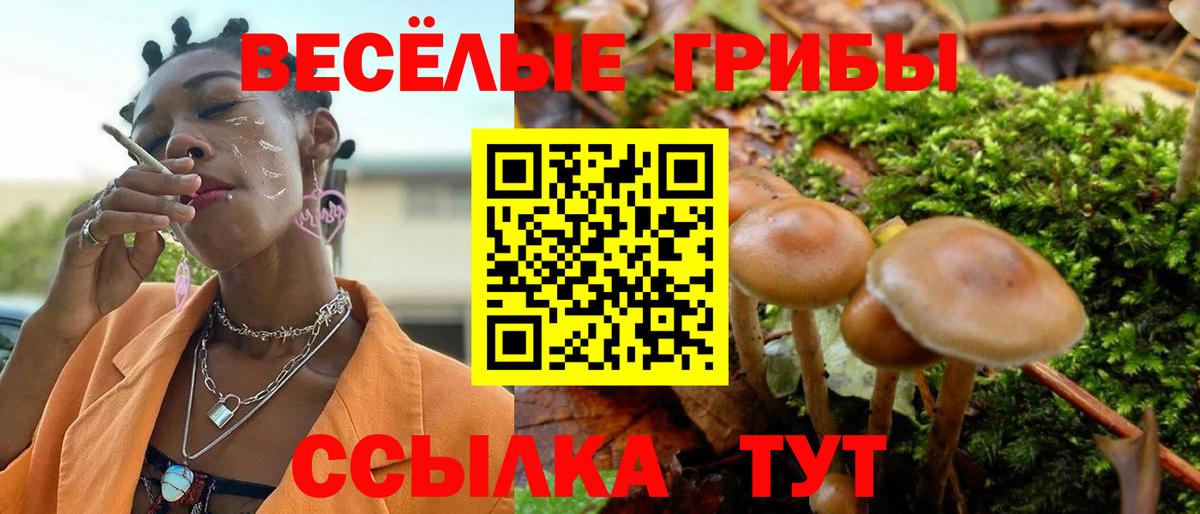 Псилоцибиновые грибы мухоморы Мурино