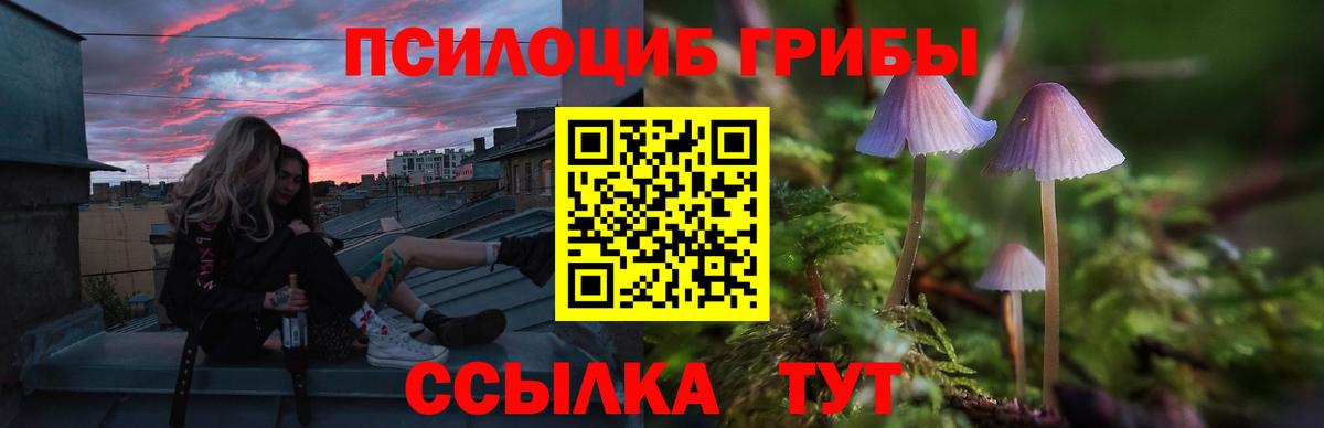 Псилоцибиновые грибы мухоморы  Мурино 